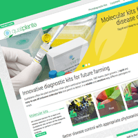 Web design Qualiplante