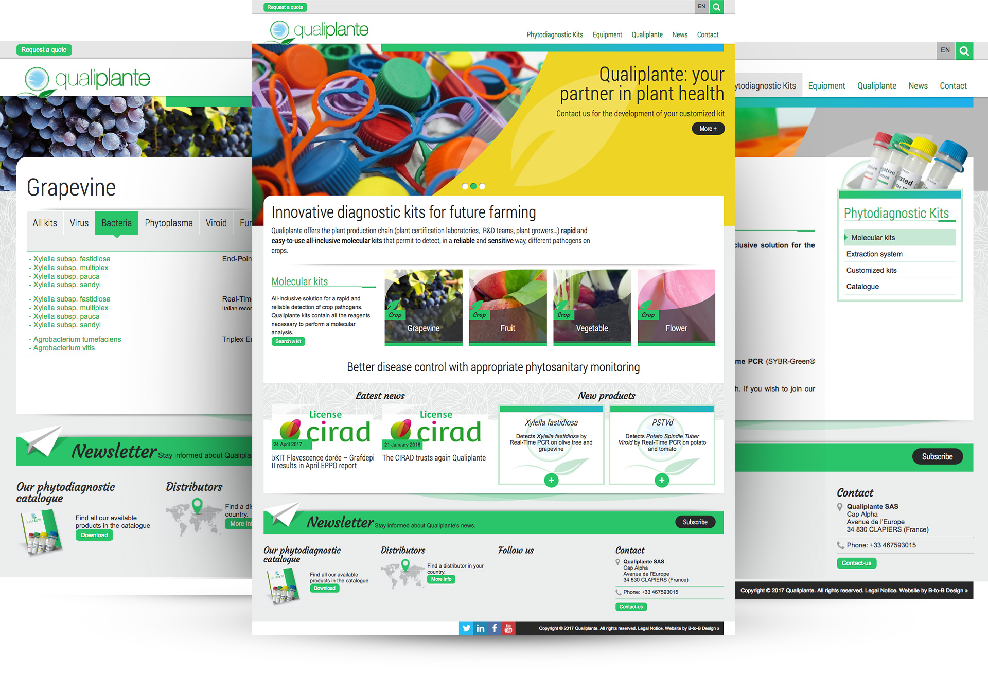 Qualiplante - webdesign